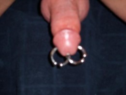 Amphallang piercing 4 gauge with two 4 gauge rings