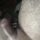Scruffy2707 Avatar