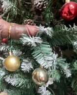 Holiday Spirit