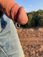 cock piercing