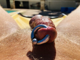 Pierced Pool Penis (0g PA)