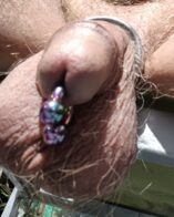 My prince Albert gauge 2