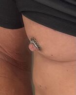 Nipple shield and small bar bell