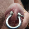 frenum clevis