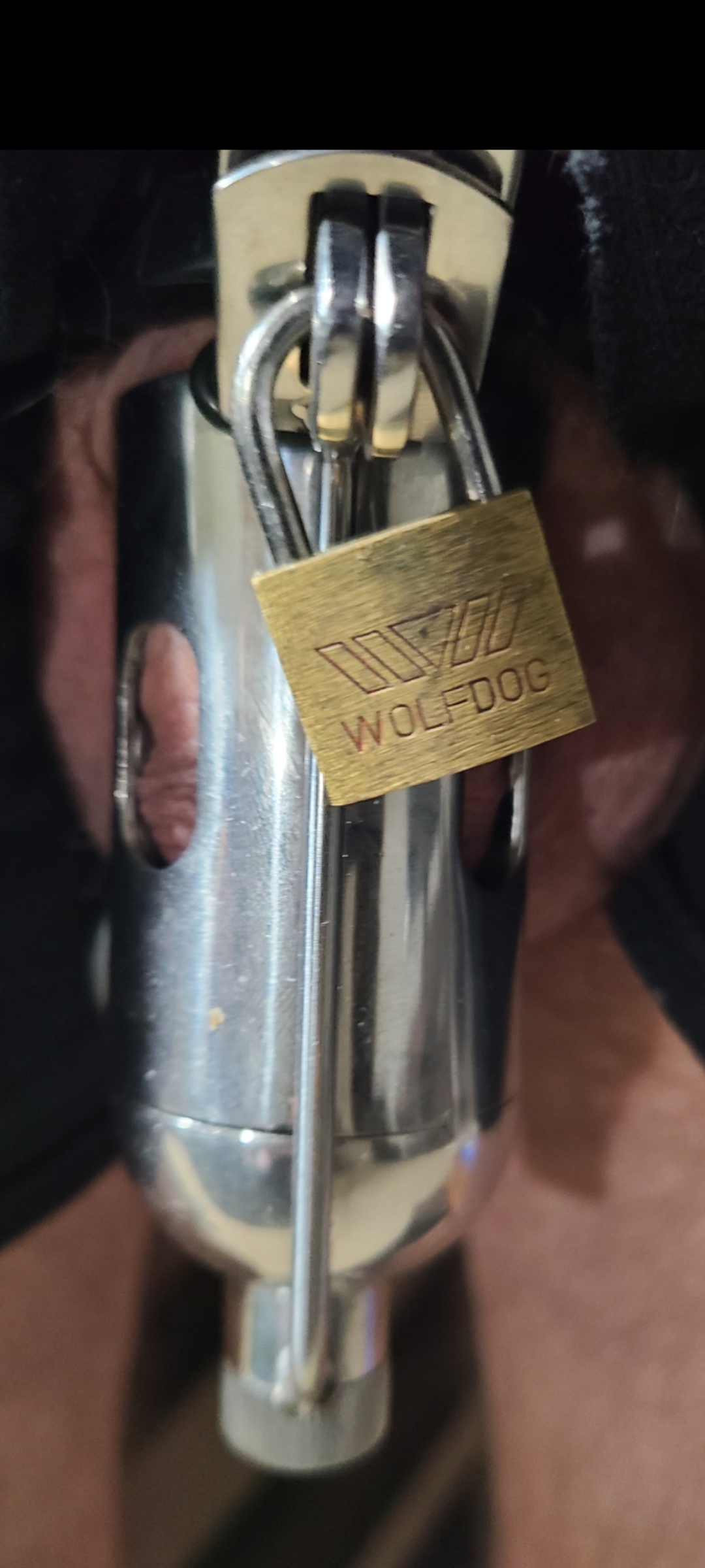 Spiked cock cage
