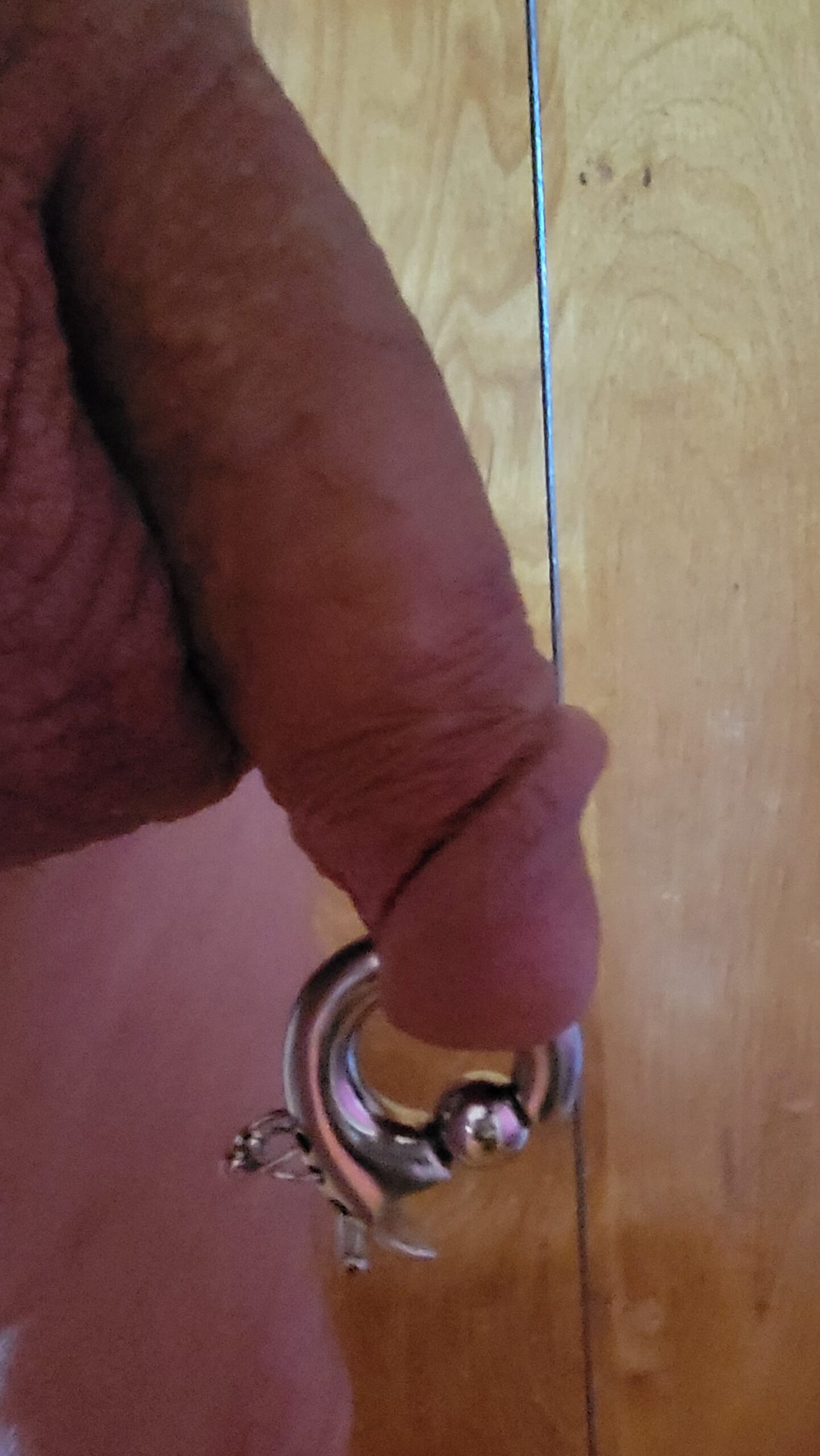 0gauge prince albert