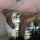 MJC Avatar
