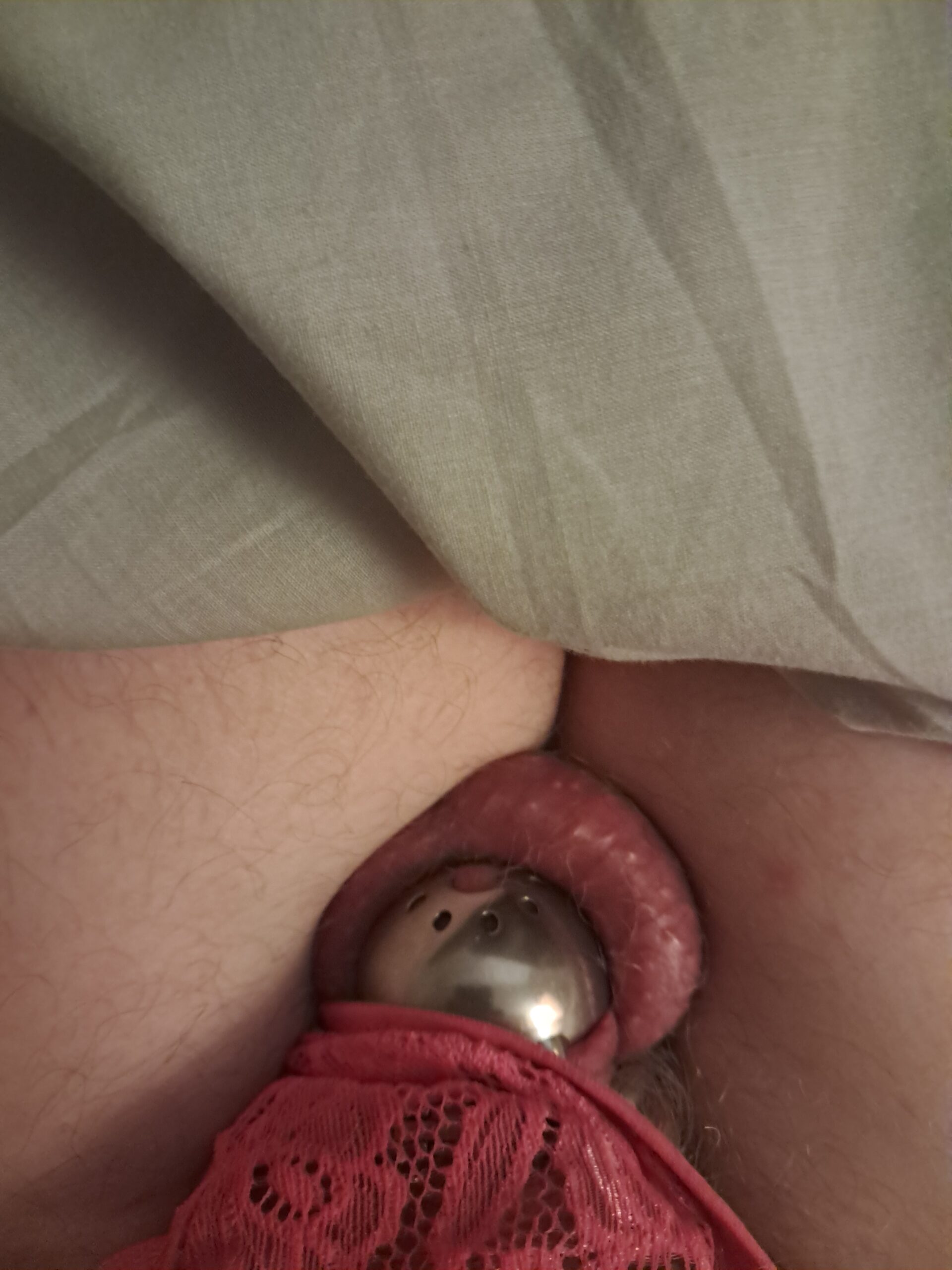 Balls bound, cage locked, pink thong in bed alone.