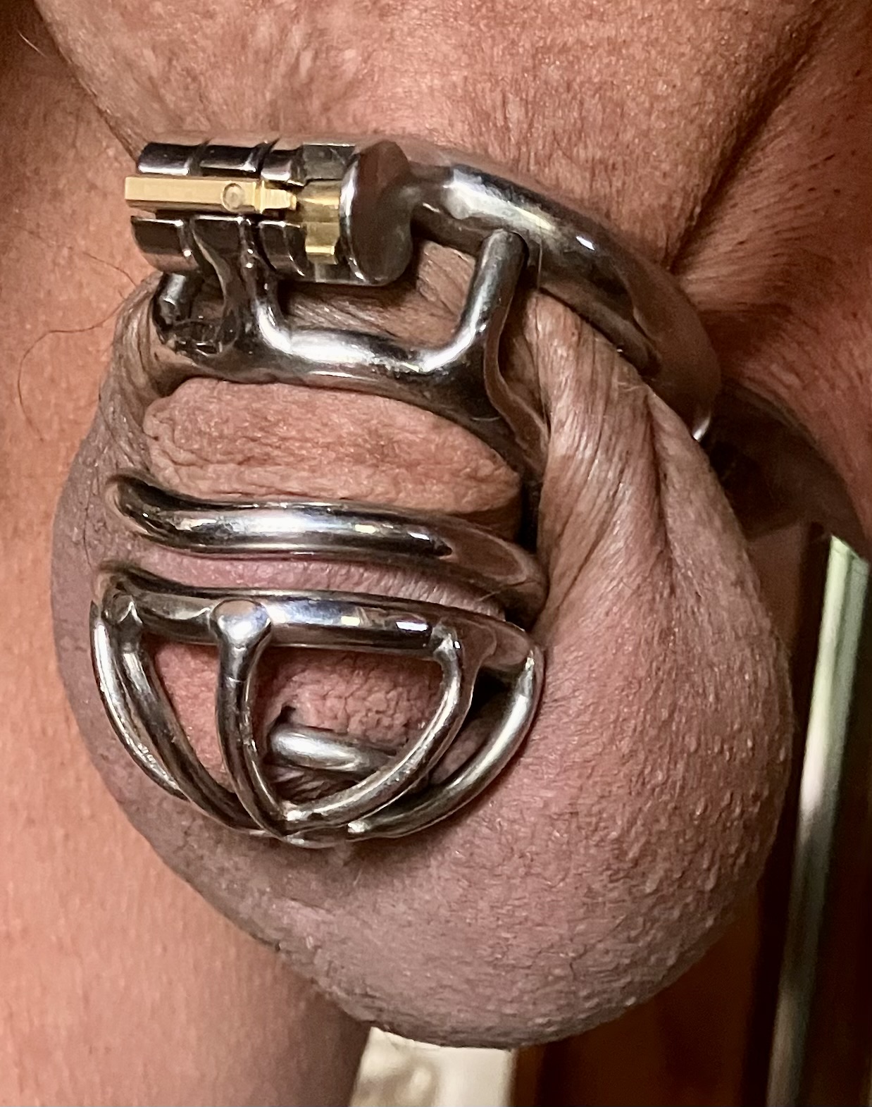 Like it high and tight